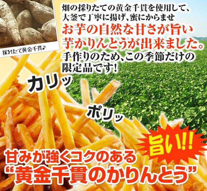 手作り芋かりんとう（芋けんぴ）１００ｇ×２パック